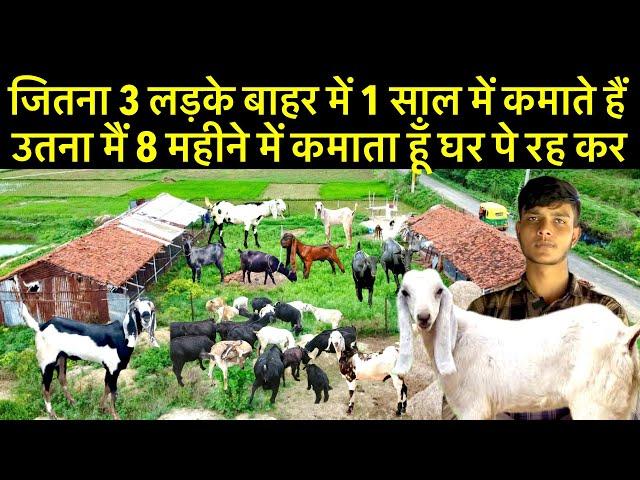 Goat farming business plan॥Goat farming॥Low cost goat farming