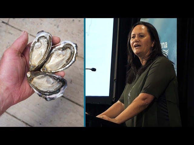 Our past, present and future in Pacific Oyster farming