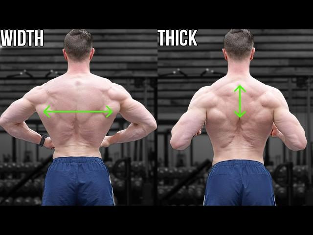 How To Grow A Bigger Back (The Complete Guide)