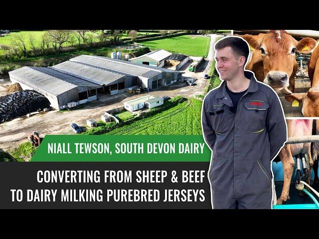 Converting from Sheep & Beef to Dairy Milking Purebred Jerseys with Niall Tewson, South Devon Dairy