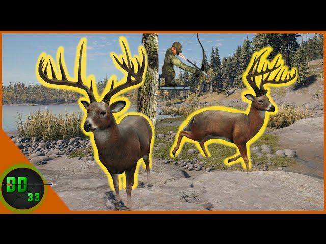 The Legendary Diamond Whitetail LAKE! Call Of The Wild