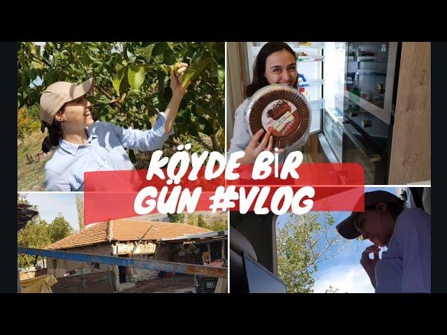 KÖYDE BİR GÜN GEÇİRMEK VLOG | Ceviz Bahçemizde İlk Hasat | Aracımızın Tekeri Patladı ! #ceviz #vlog