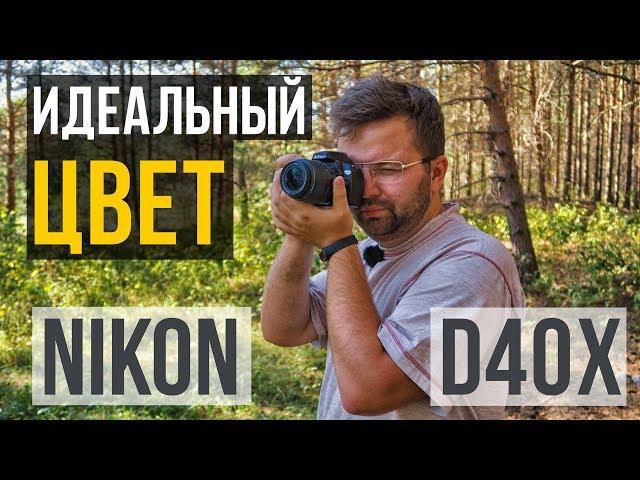 NIKON D40x - фотоаппарат с ИДЕАЛЬНОЙ ЦВЕТОПЕРЕДАЧЕЙ?