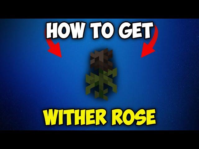 How to Get WITHER ROSE in Minecraft 1.21.3