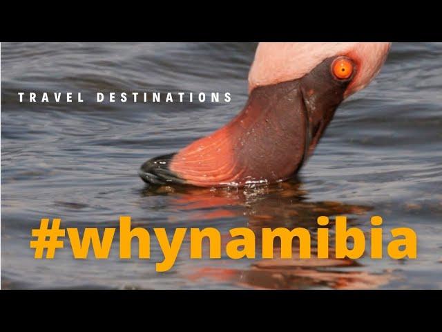 When you find out #whynamibia films have more new ways...