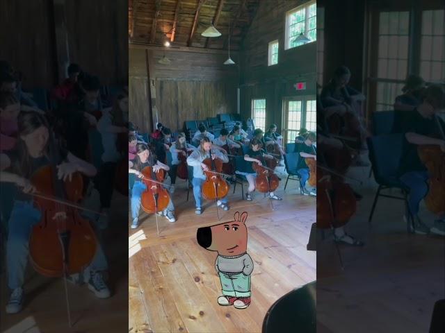 Why OK to fake? #cello #violin #bass #viola #classicalmusic #classicalmusician