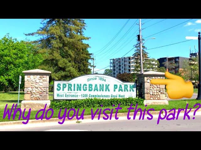 14 THINGS TO DO AT SPRING BANK PARK, London Ontario