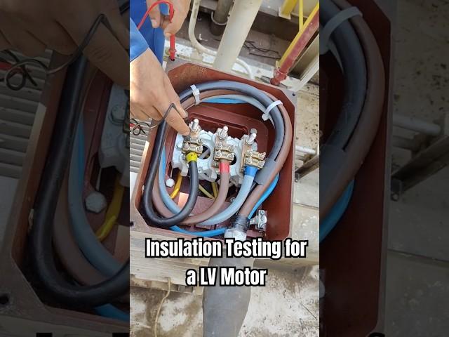 Insulation Testing for a Low Voltage Motor #electrical #electricalengineering #electricity