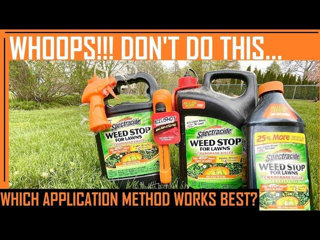 Spectracide Weed Stop for Lawns - Best Weed Killer for Lawns How to kill Creeping Charlie/Ground Ivy