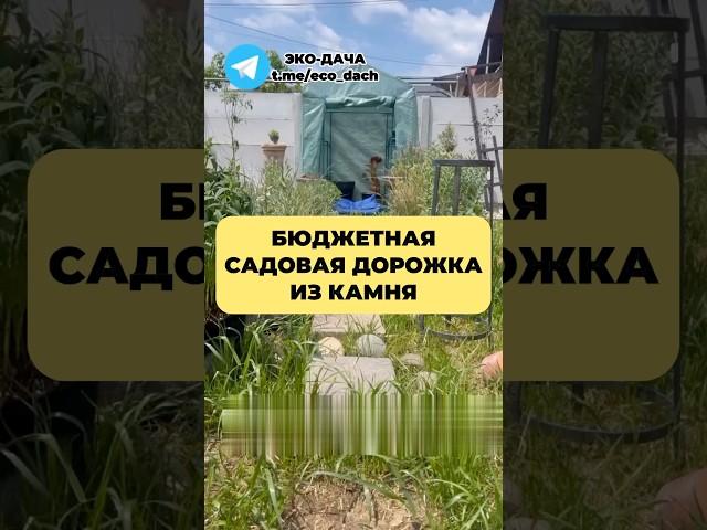 БЮДЖЕТНАЯ садовая дорожка ИЗ КАМНЯ