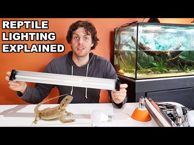 Reptile Lighting Explained and One HUGE Mistake You Need To Avoid