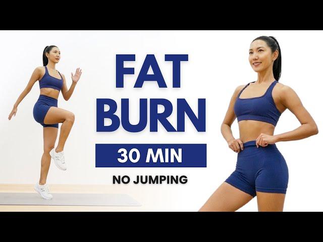 30min STANDING FAT BURNING WORKOUT  No Jumping, No Repeat