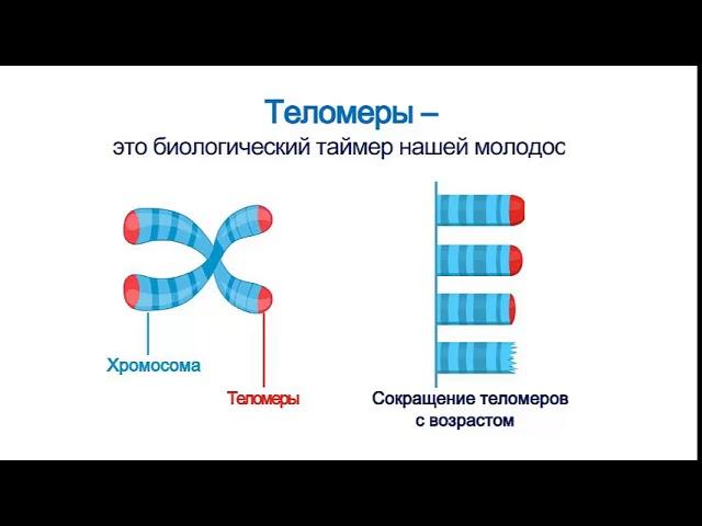 СеллГенетикс (CellGenetiX) от AGenYZ - БАД для активной регенерации клеток