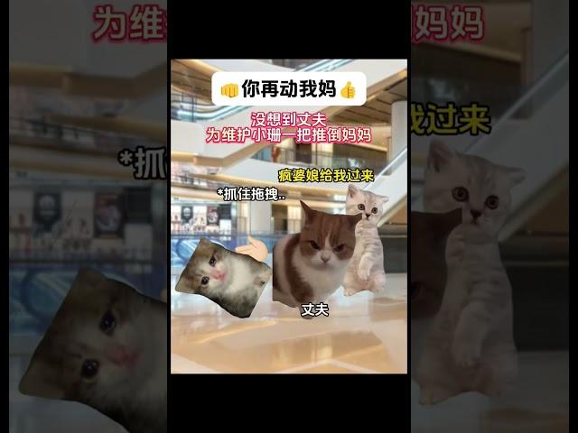 逛街遇到父亲和小三 #猫meme小剧场 #小三 #猫meme #喵不可言 #shorts #真实故事 #母子