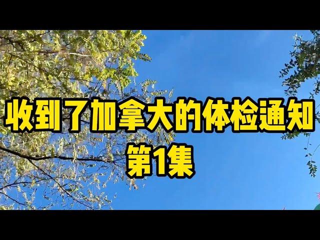 加拿大生活分享_J001，收到了加拿大移民局的体检通知书心情，分享加拿大生活，孩子教育，北美生活，加拿大日常，加拿大留学，加拿大移民，美国教育，美国孩子教育，美国生活等话题和真实经历。｜暮远爸爸