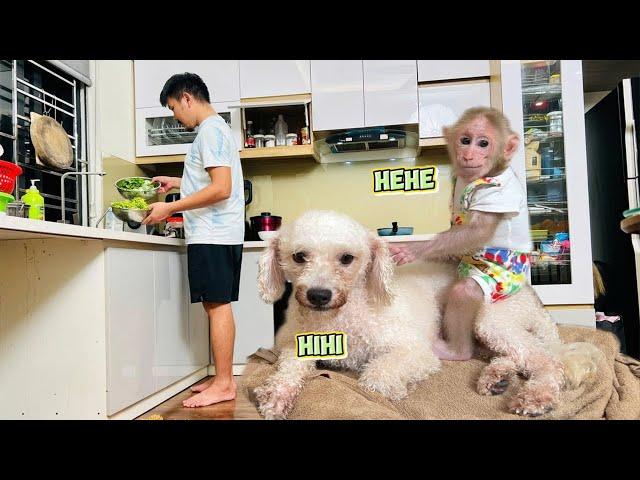 Baby Monkey Bibi Sneaky Taking Bath with Lu without Dad | Bibi's House