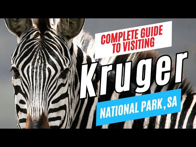 KRUGER NATIONAL PARK Travel Guide, South Africa | Tour Guide Interview | Plan Your Visit