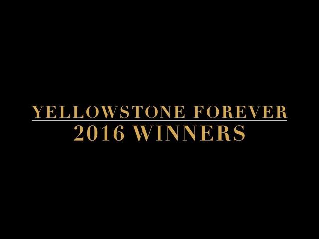 Yellowstone Forever 2016 Winners