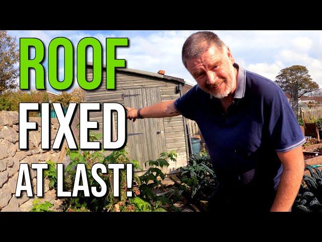 Fixed The Leaking Shed Roof | How To Fix A Leaking Shed Roof | Allotment Gardening With Tony