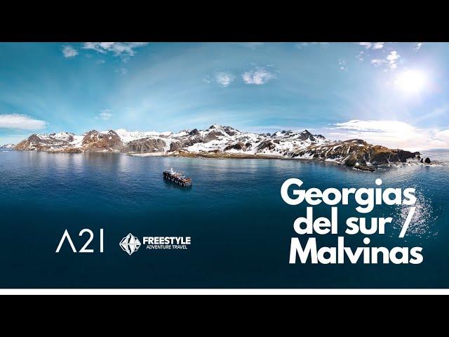 Georgias del sur e Islas Malvinas: Antarctica 21 - Freestyle Adventure