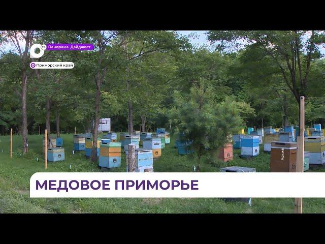 Пчеловоды Приморья готовят ульи к липовому медосбору