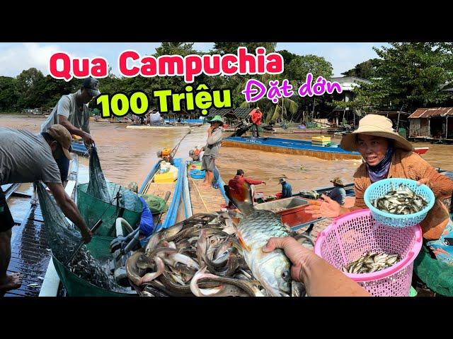 Qua Campuchia đặt dớn thủ tục 100 triệu - Cá nhiều khủng khiếp mùa lũ biên giới