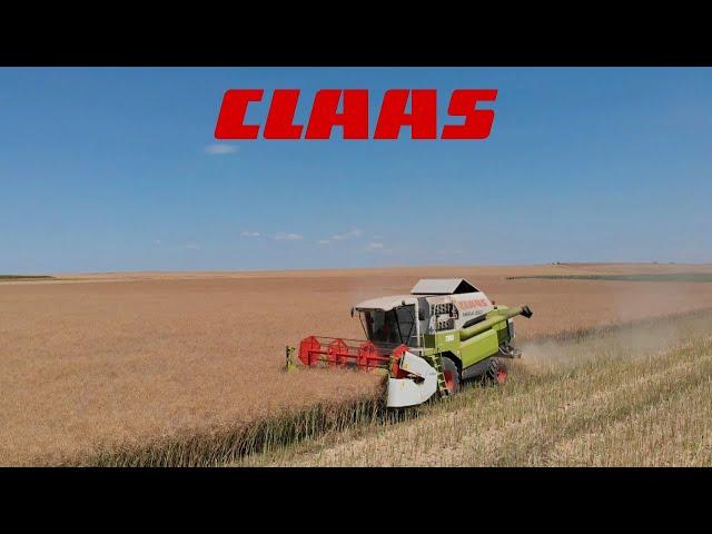 Kolejne dni zbioru rzepaku Claas Mega 350