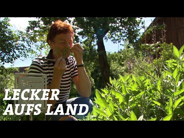 An den Bodensee zu Maria Gührer | Sommerreise - Staffel 1 - Folge 4 | SWR Lecker aufs Land