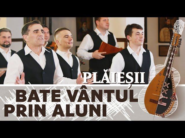 Ansamblul etnofolcloric Plăieșii - Bate vântul prin aluni  | extras CD "Partea noastră de iubire"