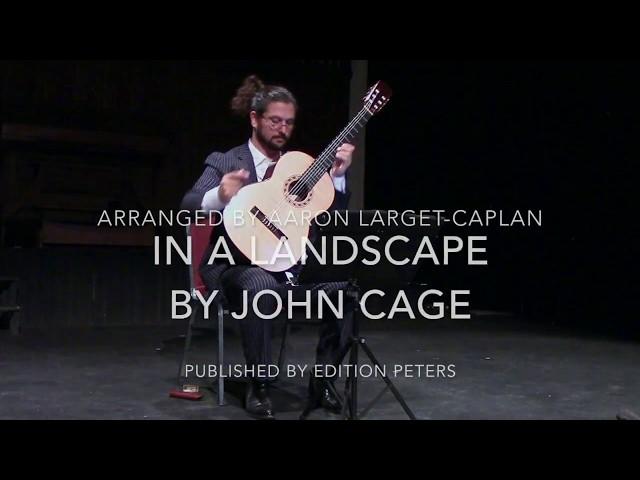 In A Landscape by John Cage, Aaron Larget-Caplan guitar