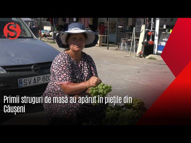 Primii struguri de masă au apărut în piețile din Căușeni