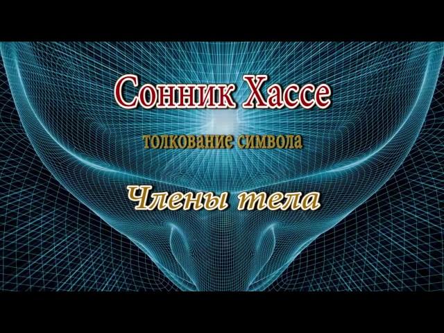 К чему снится Члены тела сонник, толкование сна