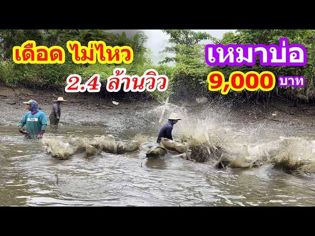 เหมาบ่อ 9,000บาท บ่อนี้บอกได้คำเดียว เดือด | Ep.078