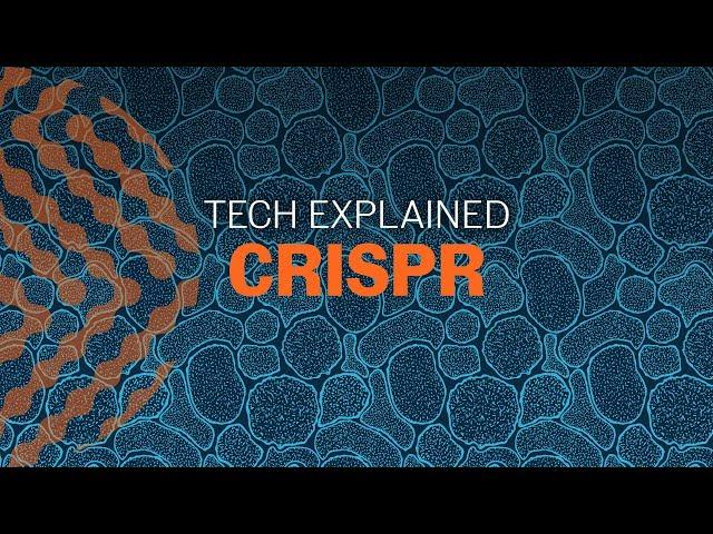 What is CRISPR?