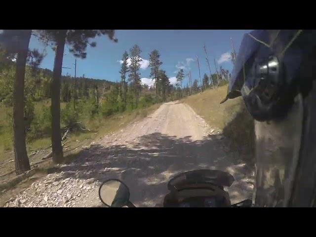 Mystic Hills Hideaway to Custer Peak Fire Tower-Black Hills, SD