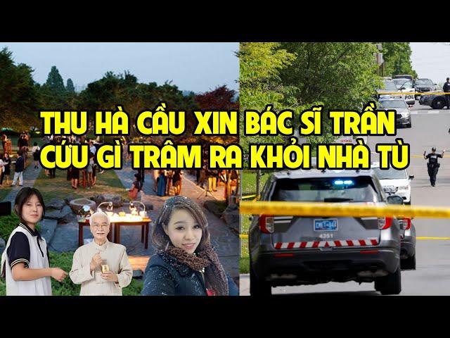 A1267 - THU HÀ CẦU XIN BÁC SĨ TRẦN CỨU DÌ TRÂM RA TÙ