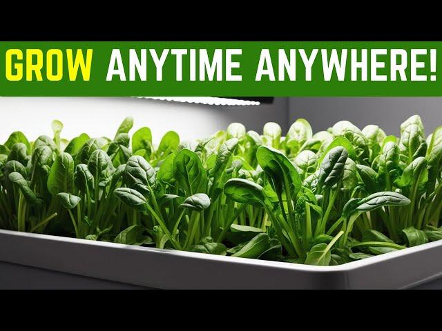 Mastering Indoor Food Growth with Eden Grow System