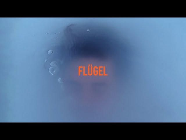 Leroy Jönsson - FLÜGEL (Official Music Video)