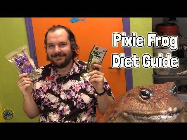  What Should I Feed My Pixie Frog:? - A Pixie Frog Diet Guide!