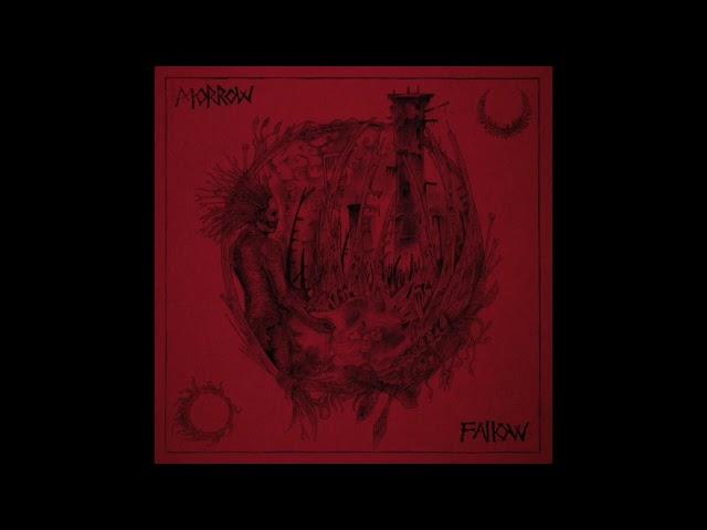 Morrow - Fallow