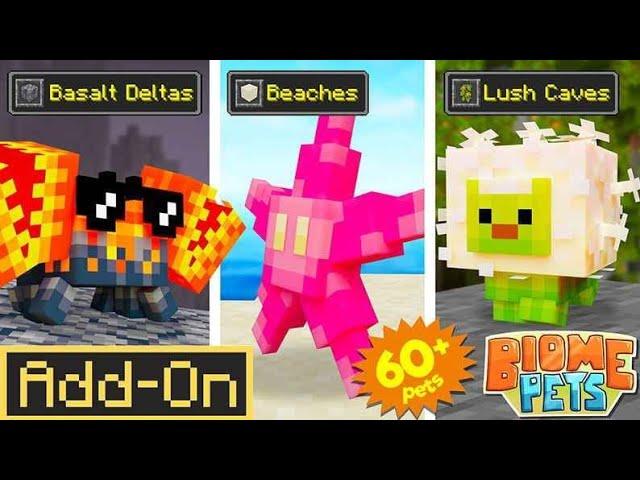 Biome pet DlC (Free] Minecraft Bedrock Marketplace