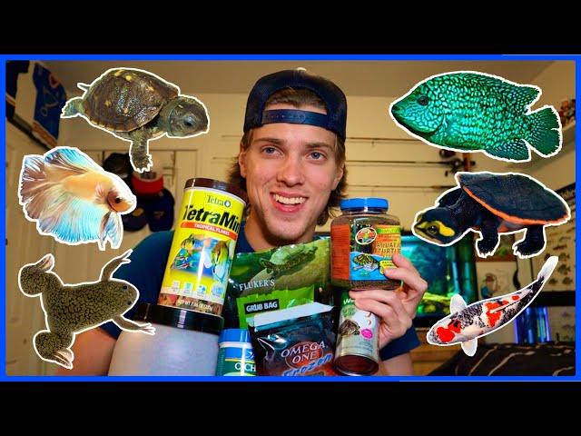 What I Feed ALL MY PETS! (Turtles, Fish, & More!)