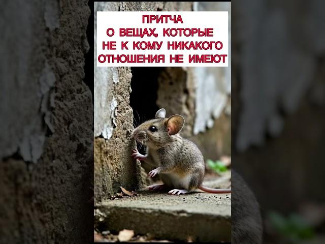 Очень мудрая притча #мудрость #притча #мудрыемысли #поучительно #мораль #познавательное #истории