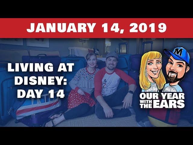 Day 14 Living at Disney World - Our Year With The Ears - January 14, 2019