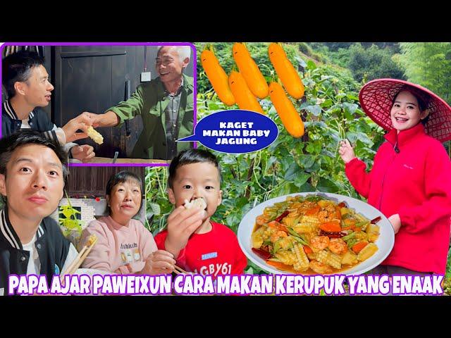 DIDESA TERPENCIL CHINA BANYAK SAYURAN TINGGAL PANEN DAN MASAK, PERTAMA KALI MASAK BABY JAGUNG+UDANG