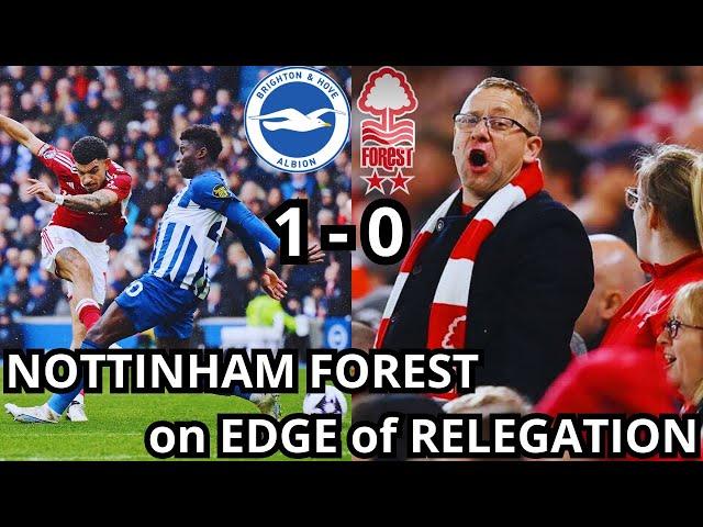 BRIGHTON BEAT NOTTINGHAM FOREST 1-0 | Brighton 1-0 Nottingham Forest | MATCHDAY VLOG BRIGHTON FOREST