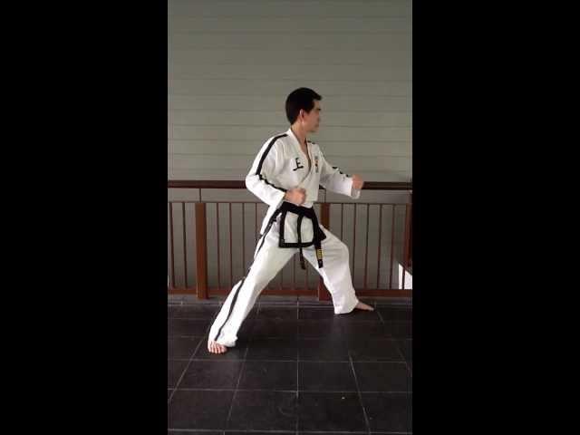 Traditional TAEKWON-DO - Downward Block