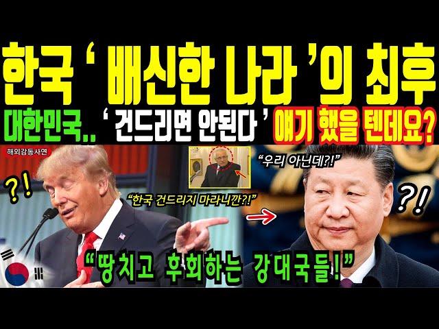 한국 배신한 나라의 최후! 한국 기술이 세계를 놀라게 했다!ㅣ해외감동사연