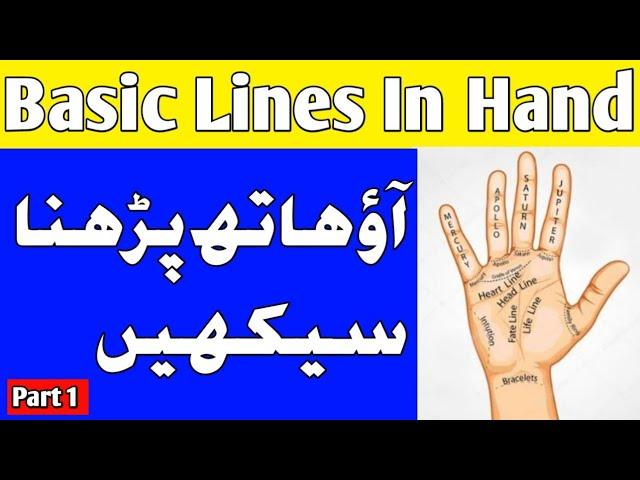 Basic Lines in Hand | Learn Palmistry | Part 1 l  Hand Analysis l Urdu Hindi English