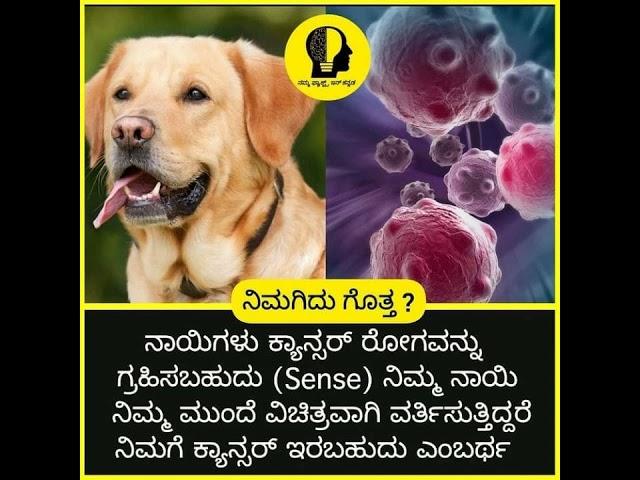 Kannada unique  fact's kannada amazng fact's Facts In kannada brand facts kannada facts